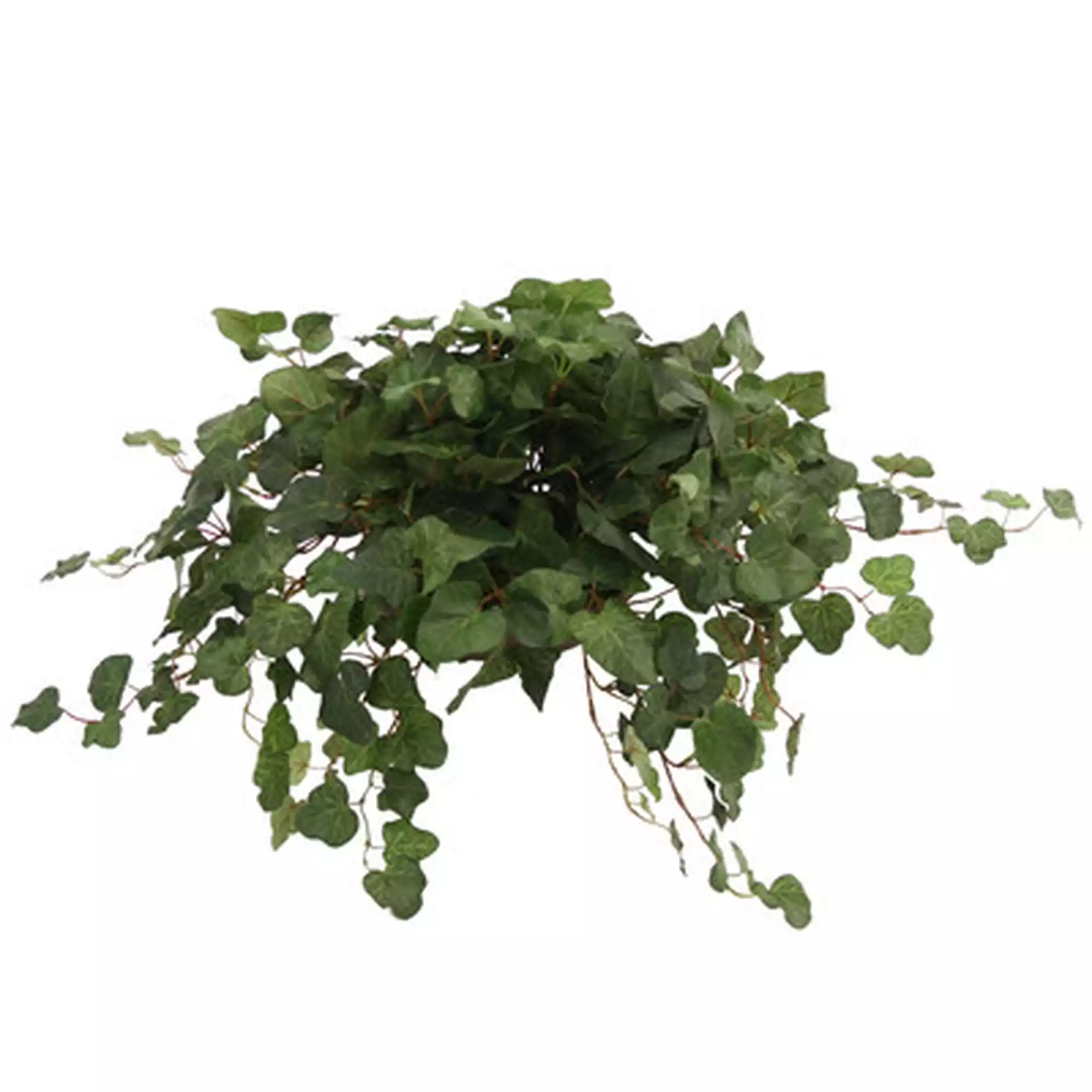 Topper with Silk Swedish Ivy Hanging Plant in Planter (Set of 2)