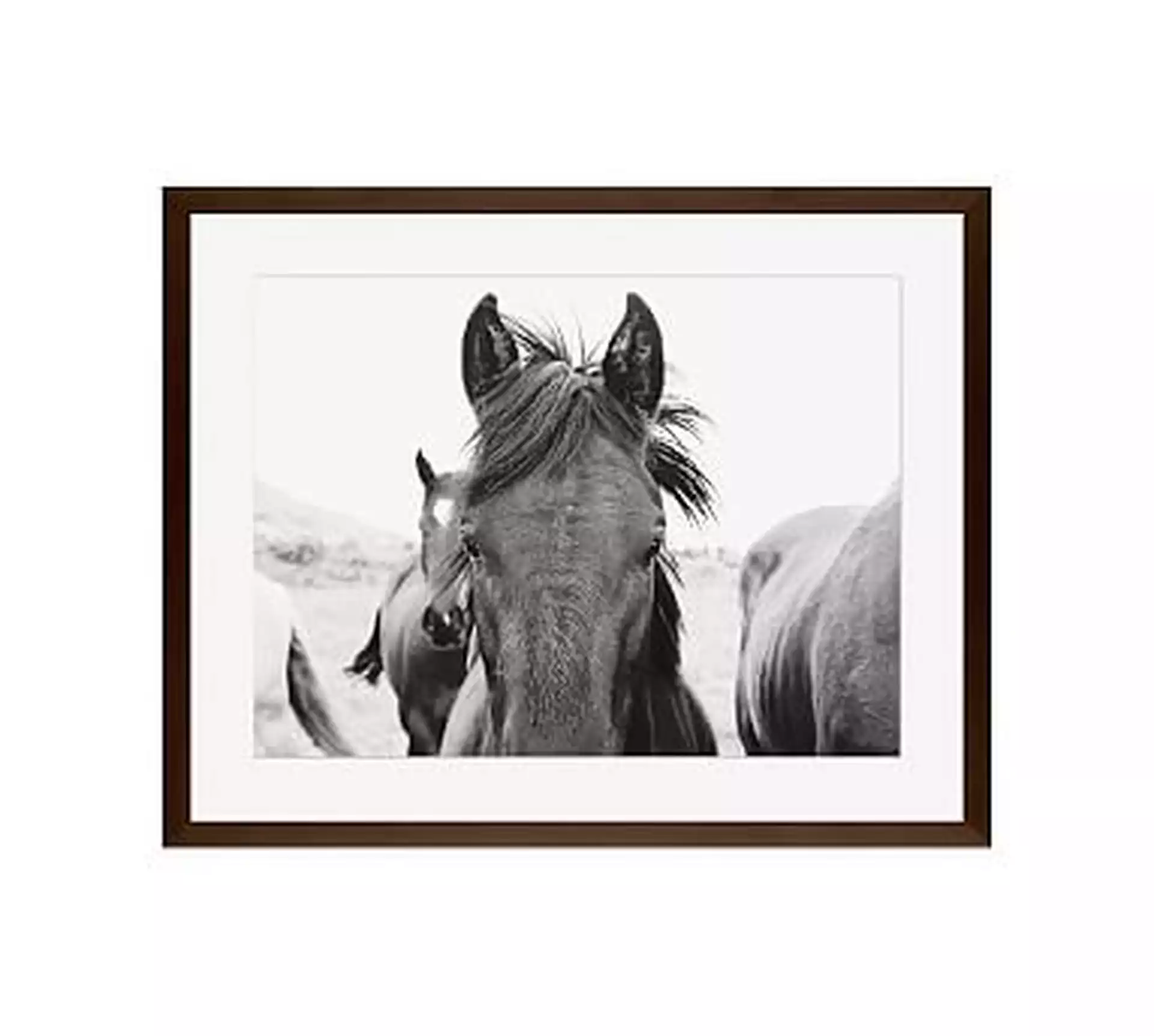 Hello There Framed Print by Jennifer Meyers, 16x20", Wood Gallery Frame, Espresso, Mat