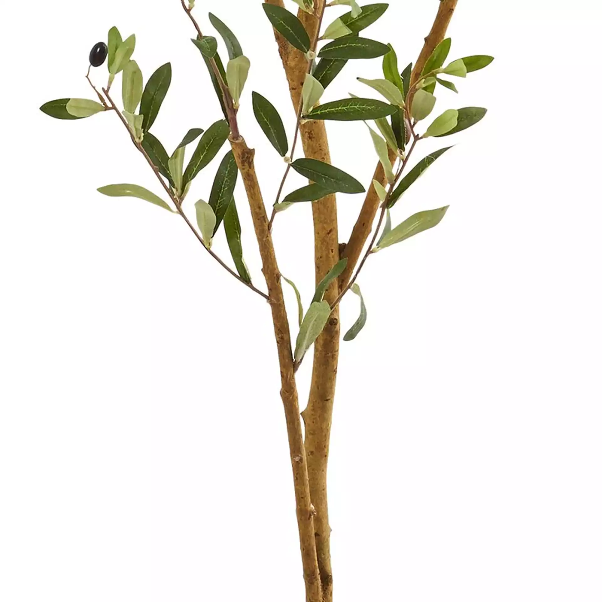 Faux Olive Tree in Planter, 82"