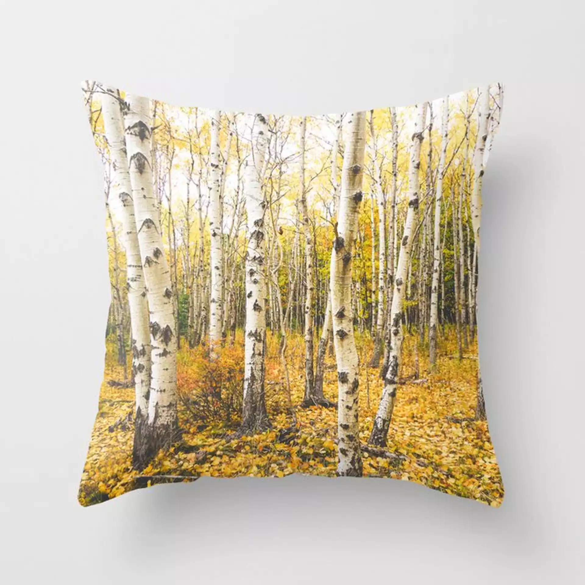 Autumn Birch Forest Couch Throw Pillow by Olivia Joy St.claire - Cozy Home Decor, - Cover (24" x 24") with pillow insert - Indoor Pillow