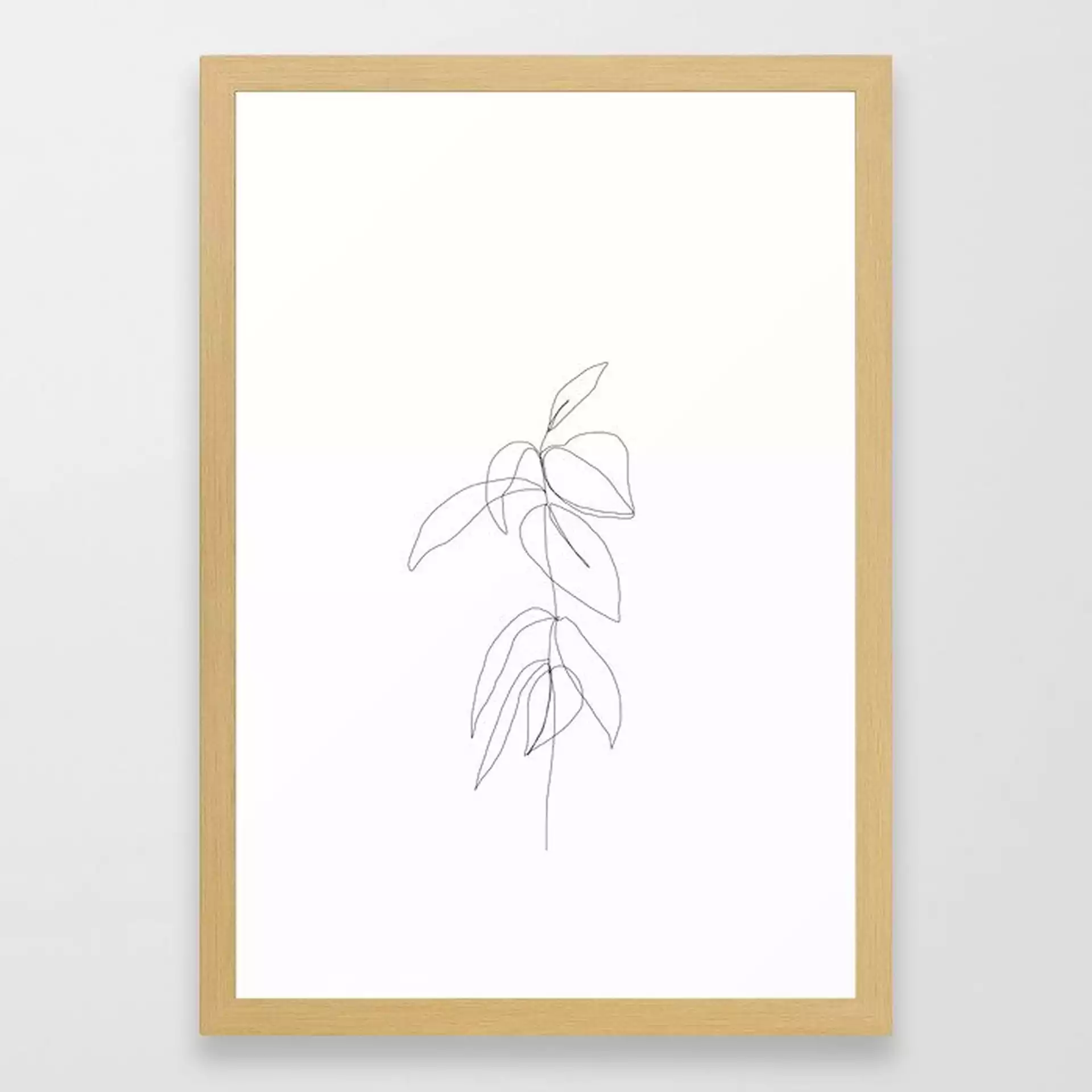 Still Life Plant Drawing - Caca Framed Art Print by The Colour Study - Conservation Natural - SMALL-15x21