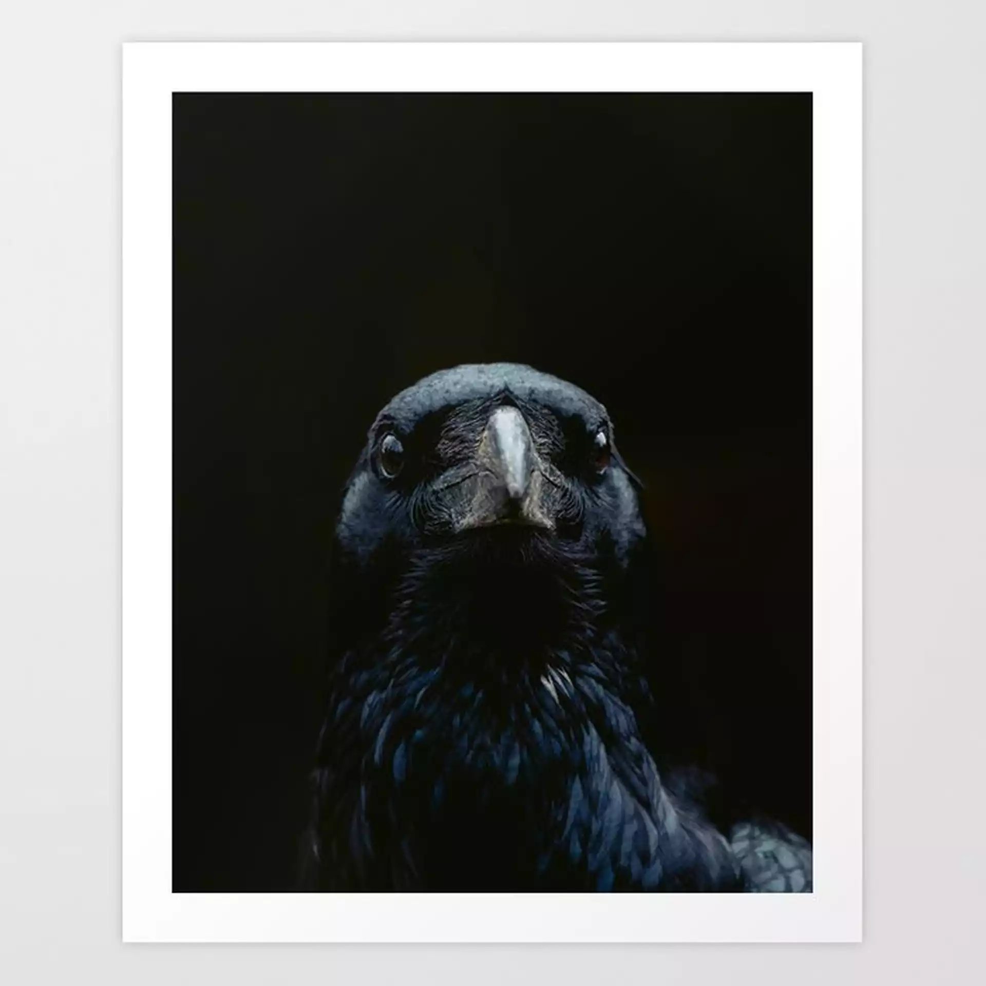 The Raven Art Print by Ingrid Beddoes Photography - MEDIUM