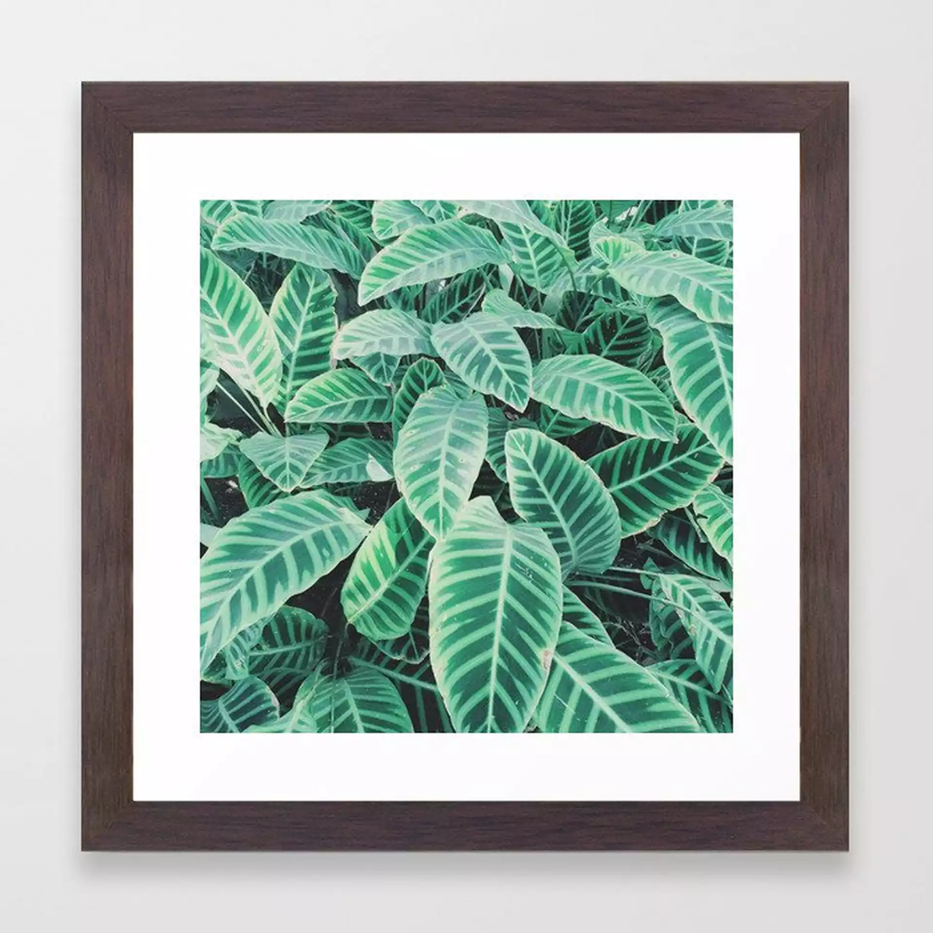 Pattern Of Leaves Framed Art Print by Cassia Beck - Conservation Walnut - X-Small-12x12