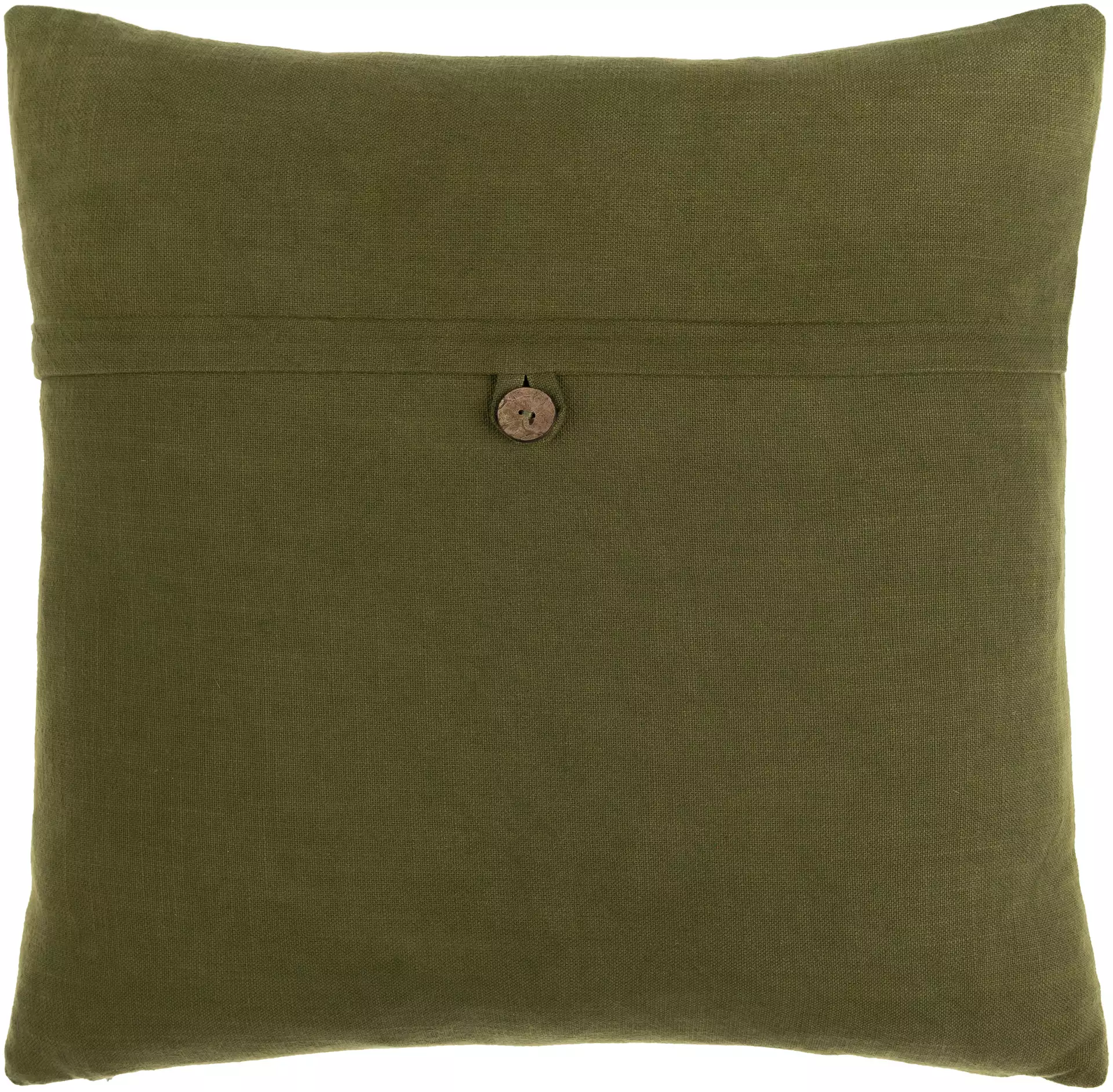 Penelope Throw Pillow, Green, 20" x 20"