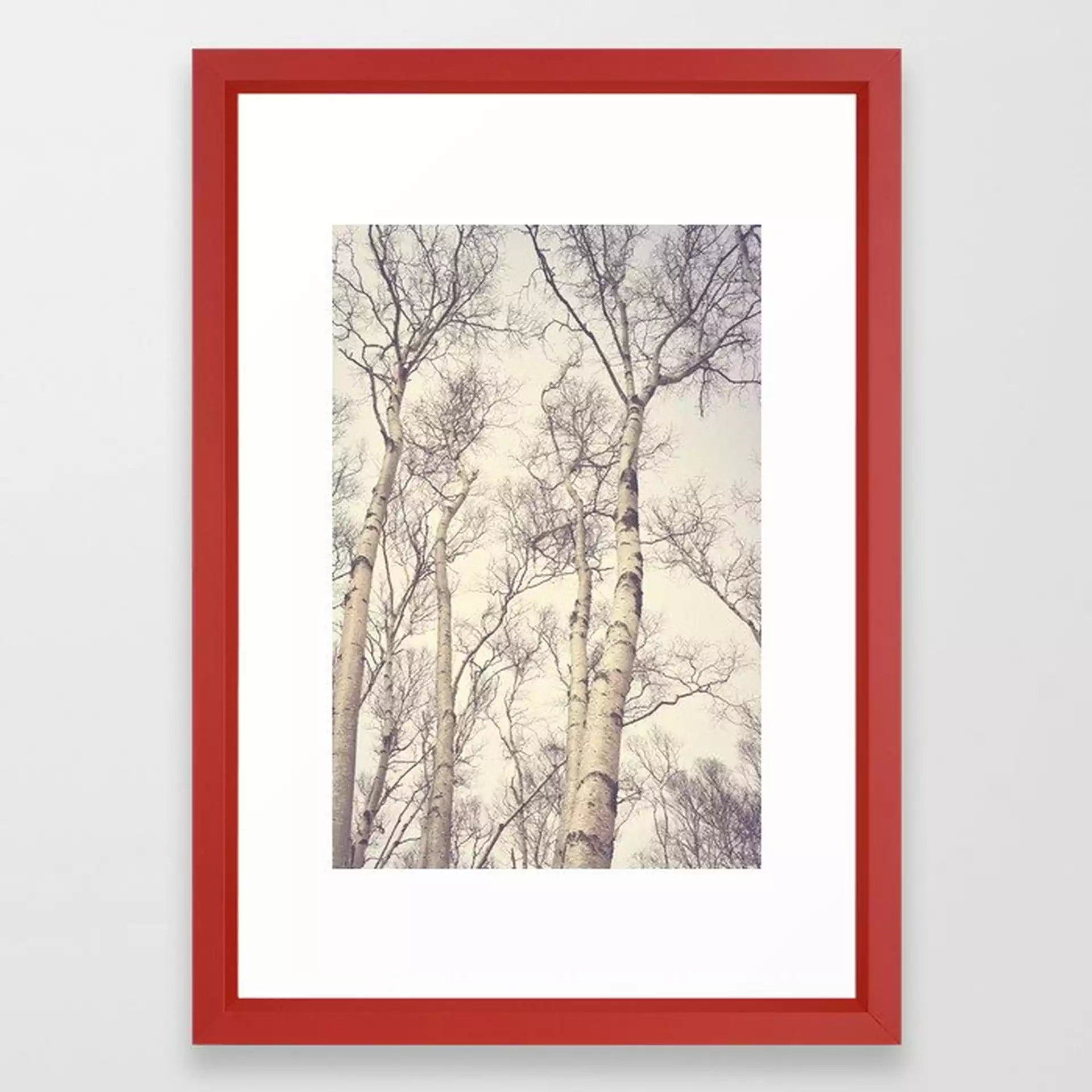 Winter Birch Trees Framed Art Print by Olivia Joy St.claire - Cozy Home Decor, - Vector Red - SMALL-15x21