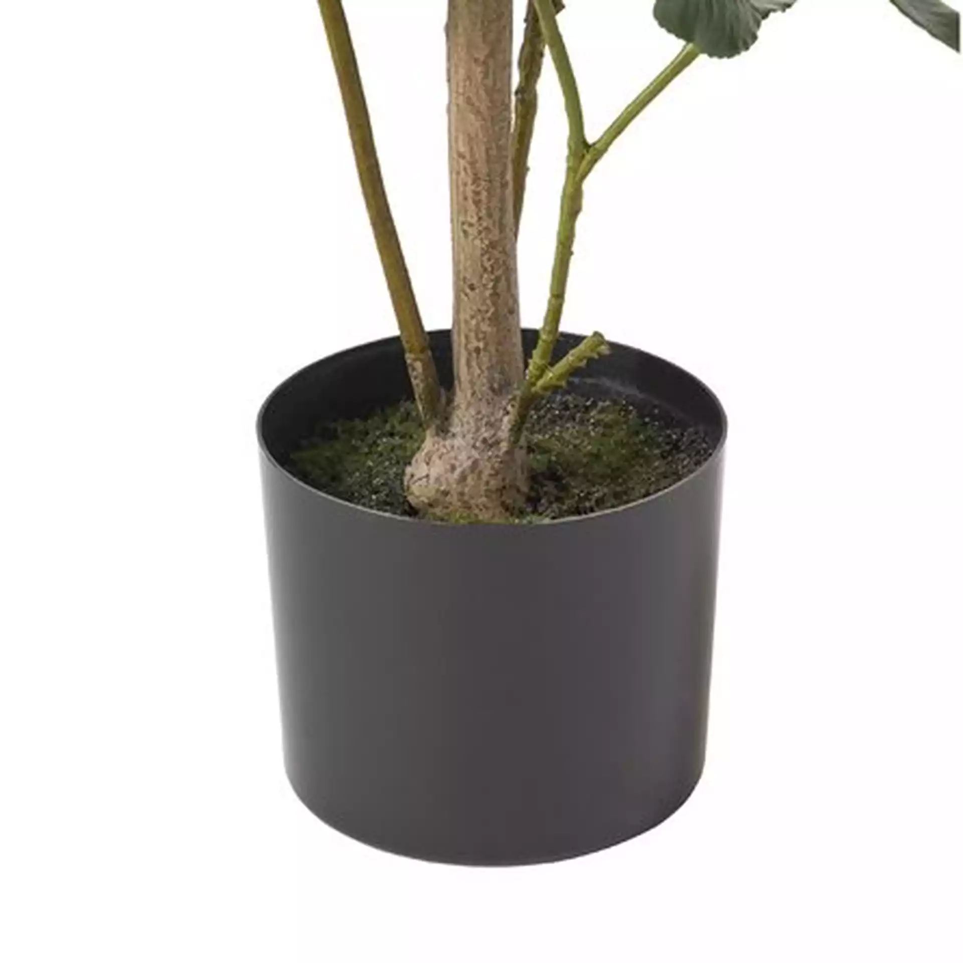 43" Artificial Laurel Tree in Pot