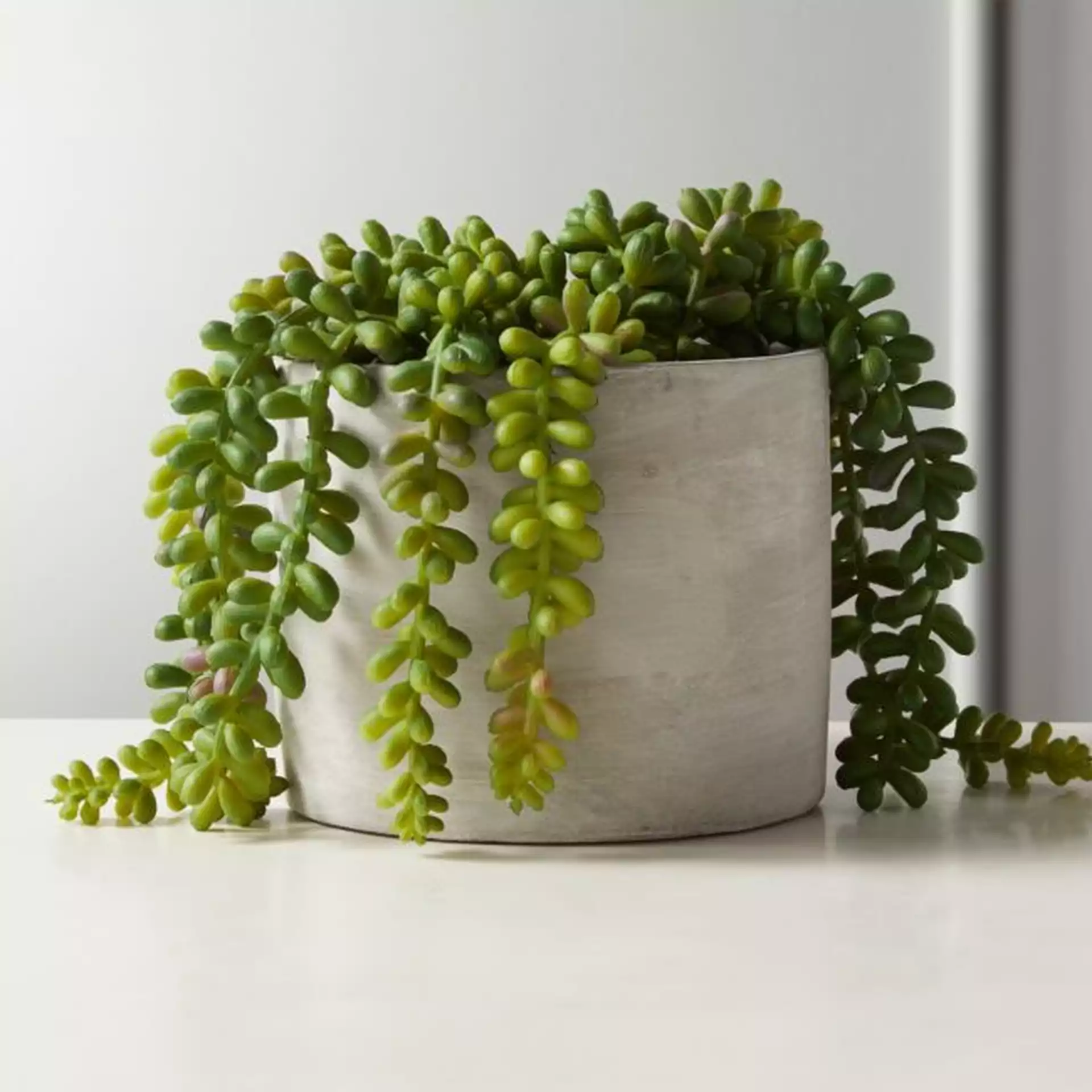 Faux Potted Burro's Tail