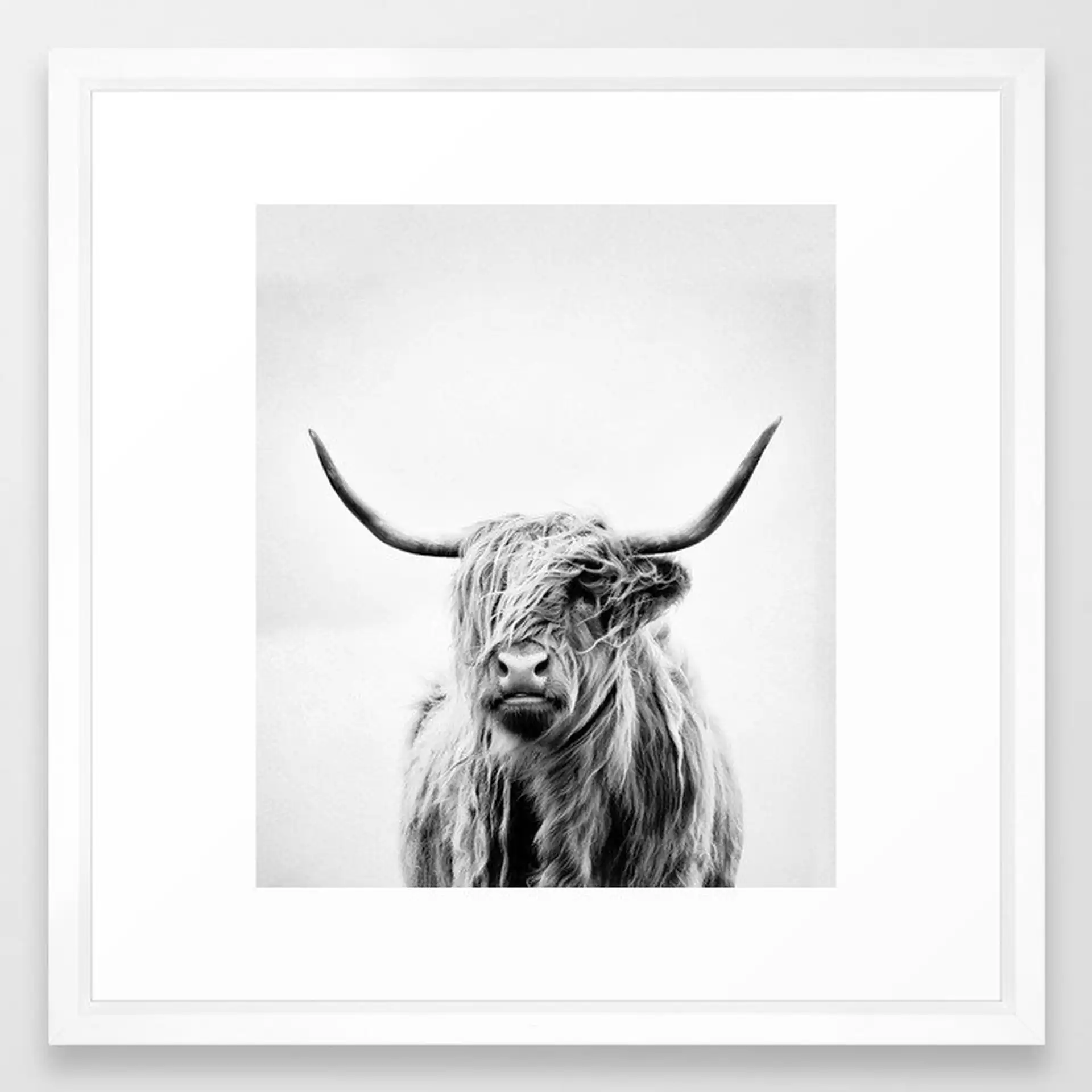 Portrait Of A Highland Cow - (vertical) Framed Art Print by Dorit Fuhg - Vector White - MEDIUM (Gallery)-22x22