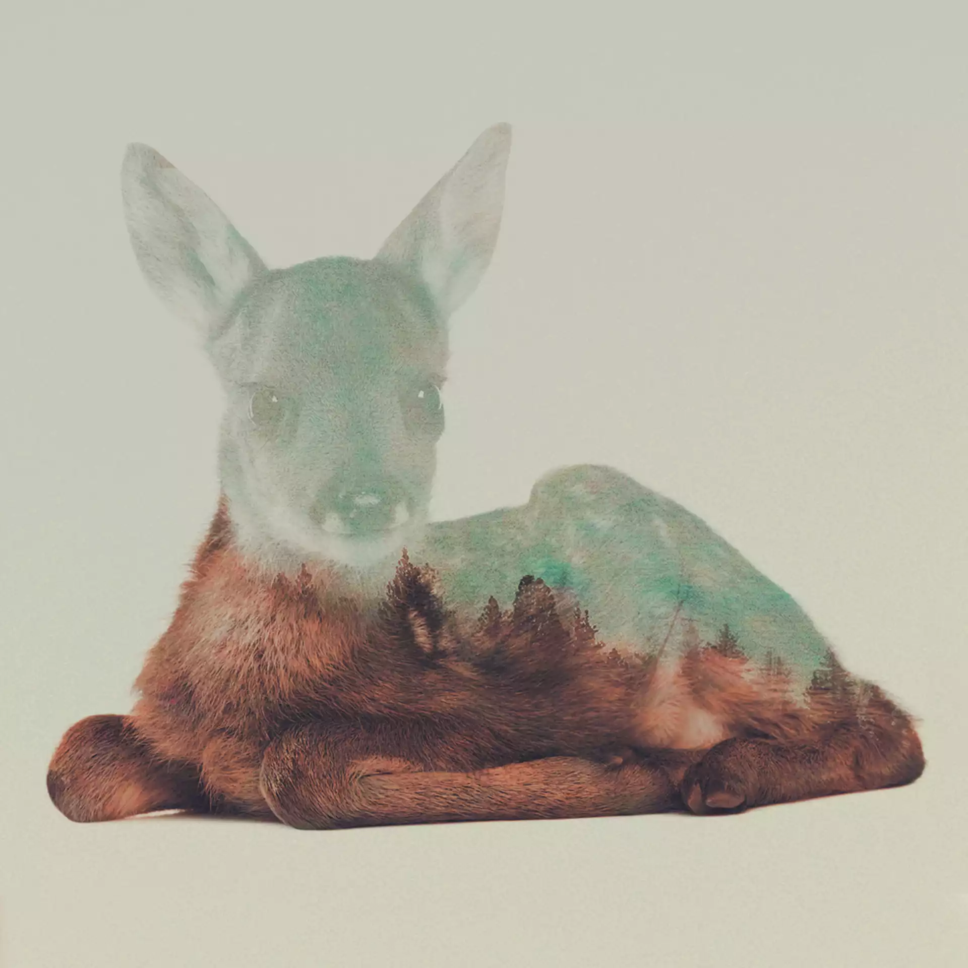 Resting Fawn Couch Throw Pillow by Andreas Lie - Cover (24" x 24") with pillow insert - Indoor Pillow