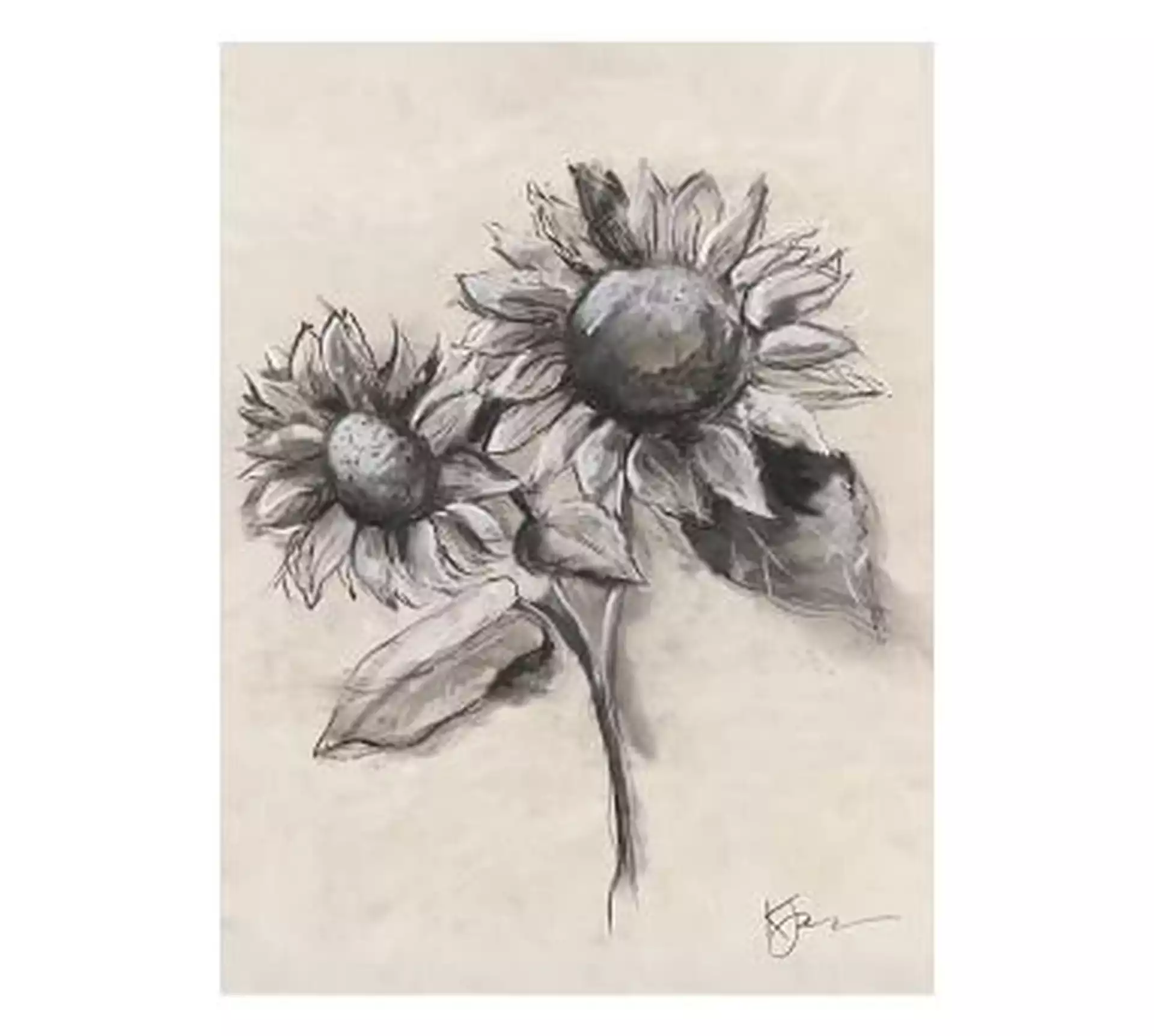 Charcoal Sunflower Single Bloom Framed 11 x 13 Matte Black Frame