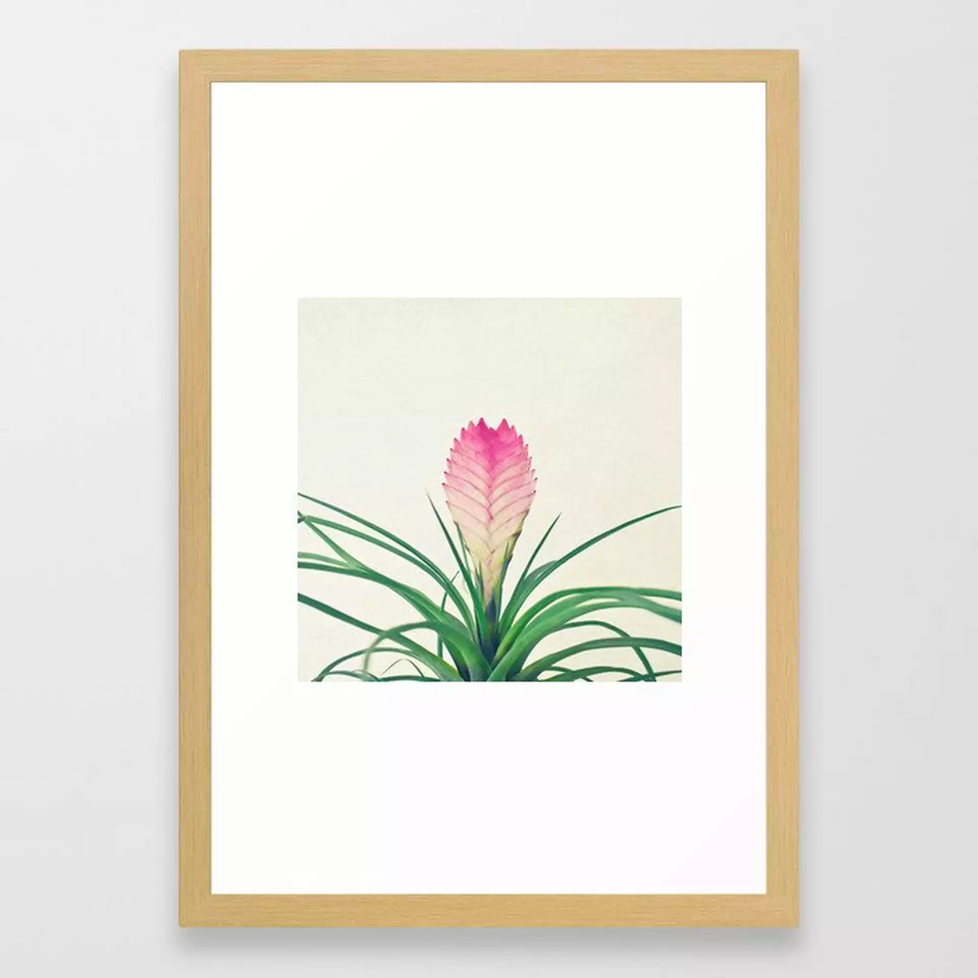 Bromelia Ii Framed Art Print by Cassia Beck - Conservation Natural - SMALL-15x21