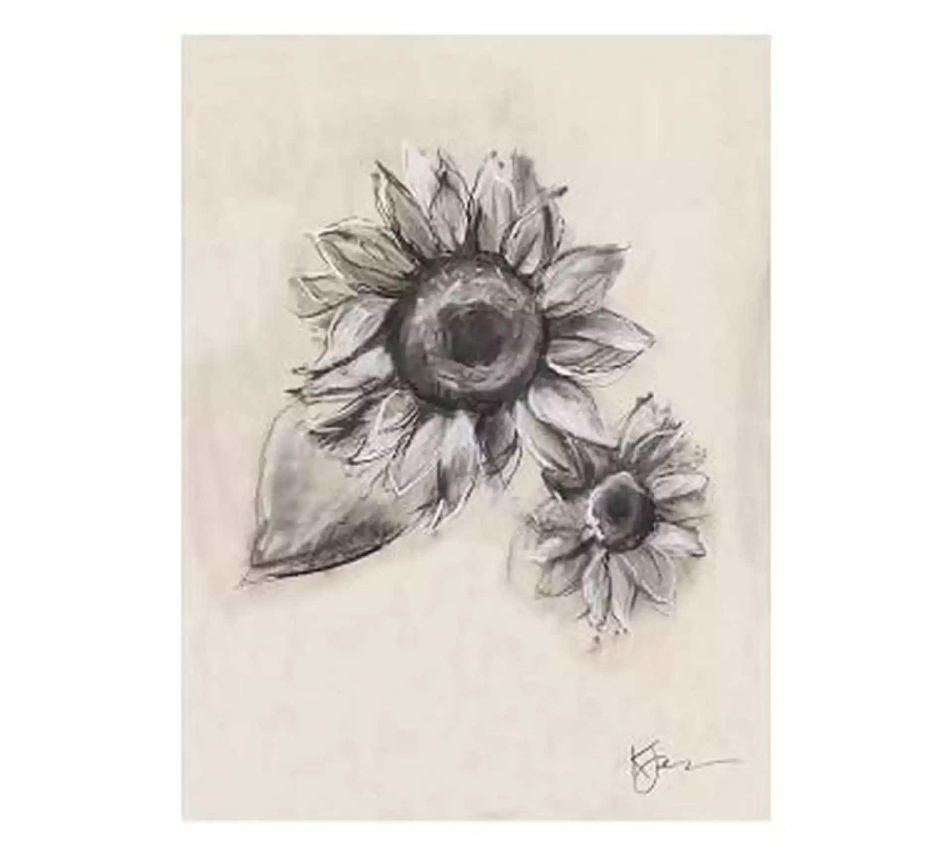 Charcoal Sunflower Single Bloom Framed 11 x 13 Matte Black Frame
