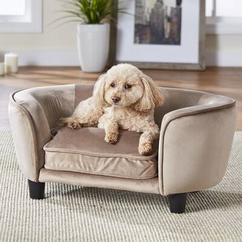 coolidge dog sofa