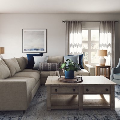 Bohemian, Farmhouse, Transitional, Scandinavian Living Room Design by Rhonda Stanbury Interior Designer Hayley