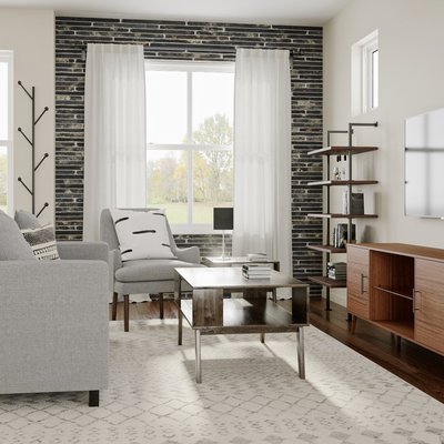 Modern, Midcentury Modern, Minimal Living Room Design by Rhonda Stanbury Interior Designer Erin