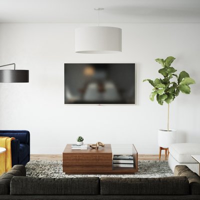 Contemporary, Modern, Eclectic, Midcentury Modern, Scandinavian Living Room Design by Rhonda Stanbury Interior Designer Taylor