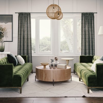 Modern, Classic, Eclectic, Traditional, Transitional Living Room Design by Rhonda Stanbury Interior Designer Elle