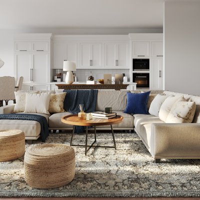 Classic, Coastal, Traditional, Farmhouse, Transitional Living Room Design by Rhonda Stanbury Interior Designer Ellis