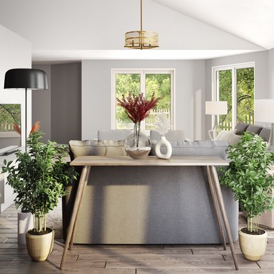 Modern, Midcentury Modern Living Room Design by Rhonda Stanbury Interior Designer Daniela
