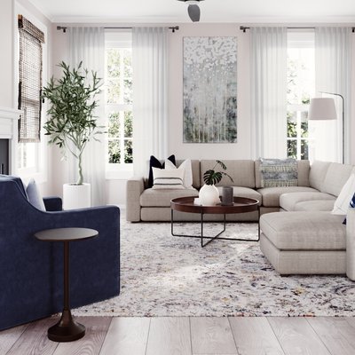 Modern, Bohemian, Coastal, Farmhouse, Transitional, Midcentury Modern Living Room Design by Rhonda Stanbury Interior Designer Emily