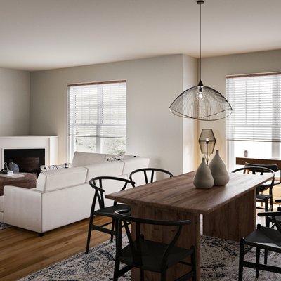 Modern, Midcentury Modern, Scandinavian Living Room Design by Rhonda Stanbury Interior Designer Mercedes
