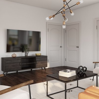 Modern, Industrial, Midcentury Modern Living Room Design by Rhonda Stanbury Interior Designer Tara