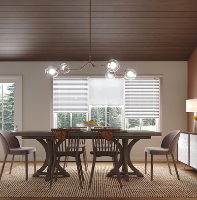 Eclectic, Transitional, Global Dining Room Design by Rhonda Stanbury Interior Designer Stacy