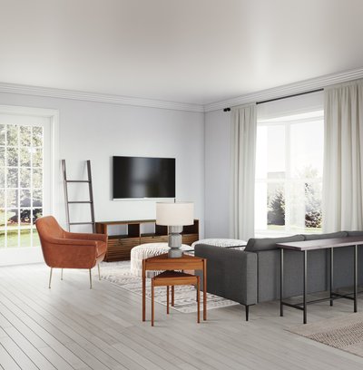 Modern, Rustic, Scandinavian Living Room Design by Rhonda Stanbury Interior Designer Michelle