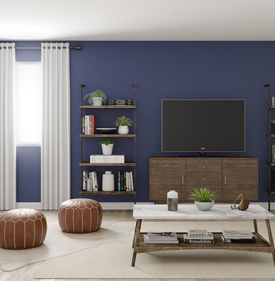 Modern, Industrial, Midcentury Modern Living Room Design by Rhonda Stanbury Interior Designer Andrea