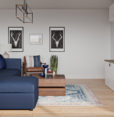 Bohemian, Midcentury Modern Living Room Design by Rhonda Stanbury Interior Designer Natasha