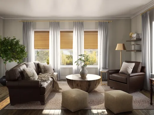 Living Room · Traditional designed by Lisa