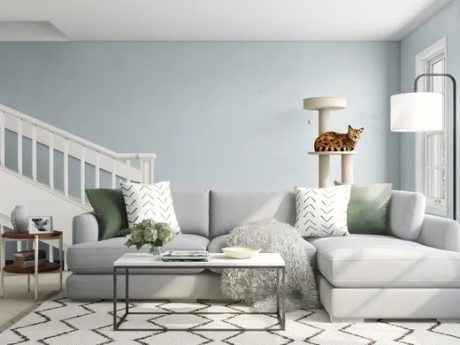 Living Room · Bohemian designed by Jamie