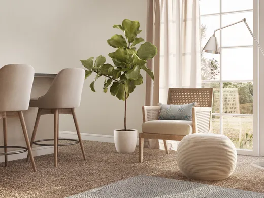 Living Room · Coastal designed by Aubrey