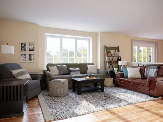 Living Room · Traditional designed by Nicole