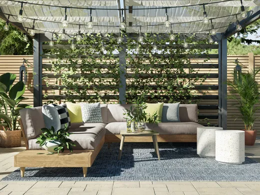 Other · Modern designed by Shannon