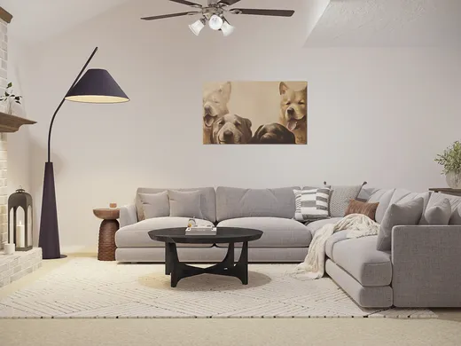 Living Room · Midcentury Modern designed by Shaun