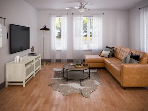 Living Room · Midcentury Modern designed by Erin