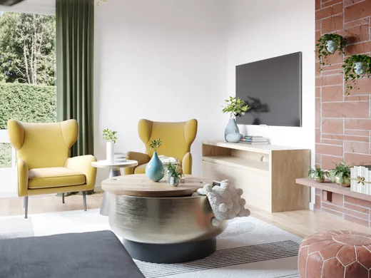 Living Room · Midcentury Modern designed by Francisco