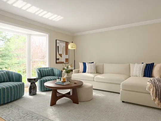 Living Room · Transitional designed by Camila