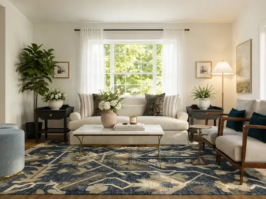 Living Room · Transitional designed by Ana