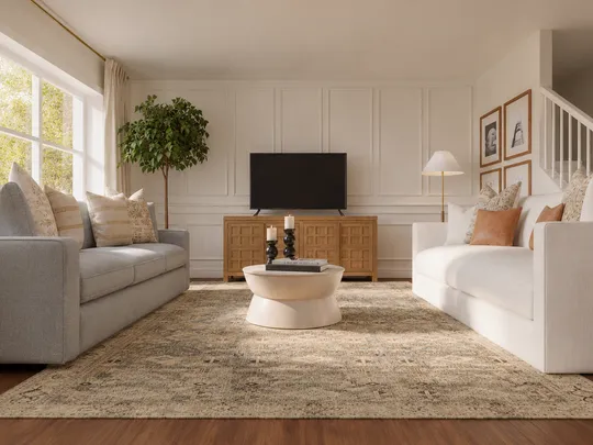 Living Room · Contemporary designed by Camila