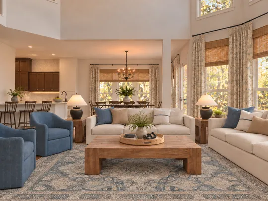 Living Room · Warm Transitional designed by Alejandra
