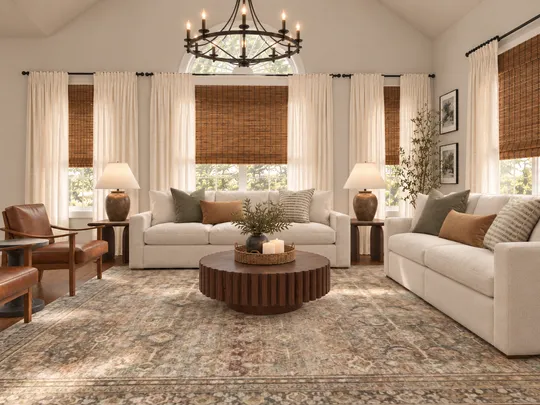 Living Room · Warm Transitional designed by Alejandra