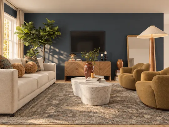 Living Room · Contemporary designed by Camila