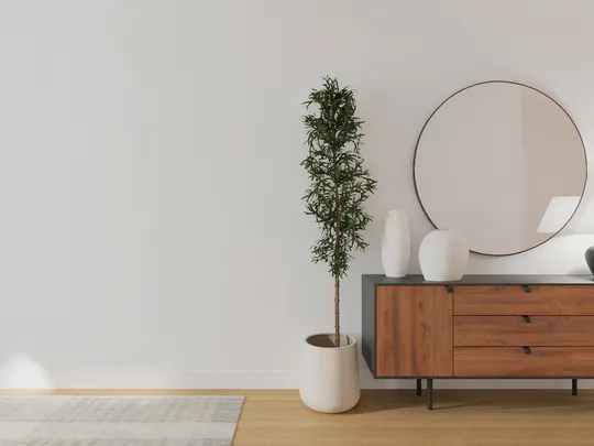Entryway designed by Francina