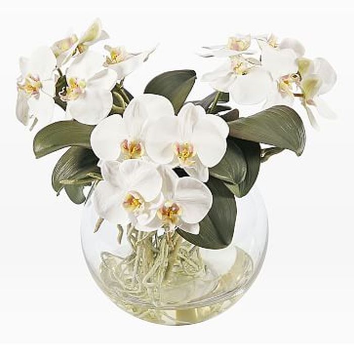 Faux Orchid in Round Vase, White West Elm