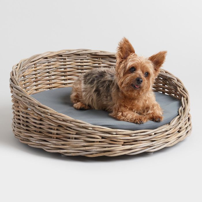 round wicker dog bed