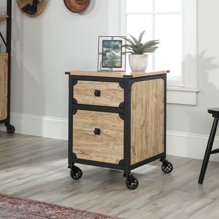 Rushton 2 Drawer Mobile Vertical Filing Cabinet Wayfair