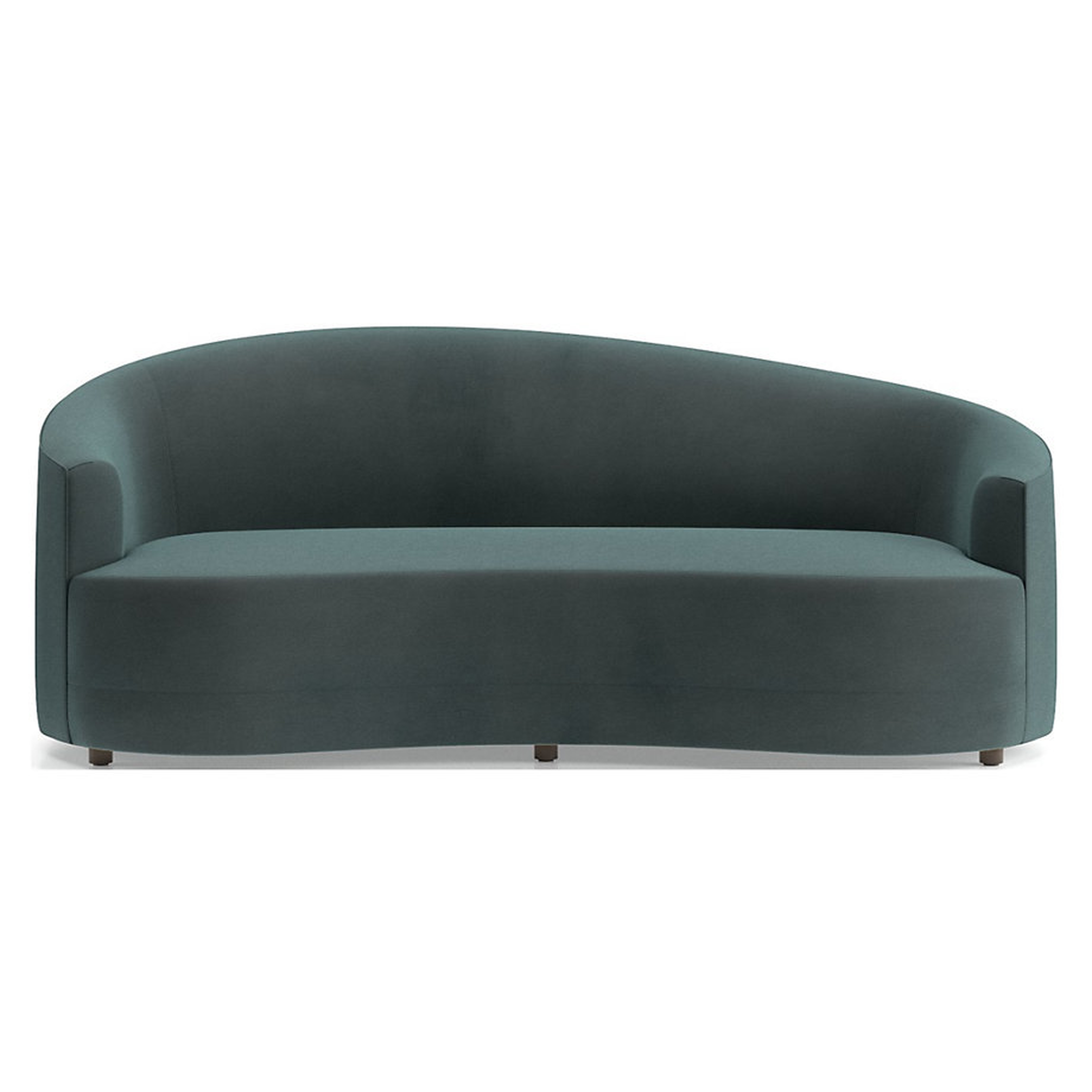 Infiniti Curve Back Sofa - Crate and Barrel
