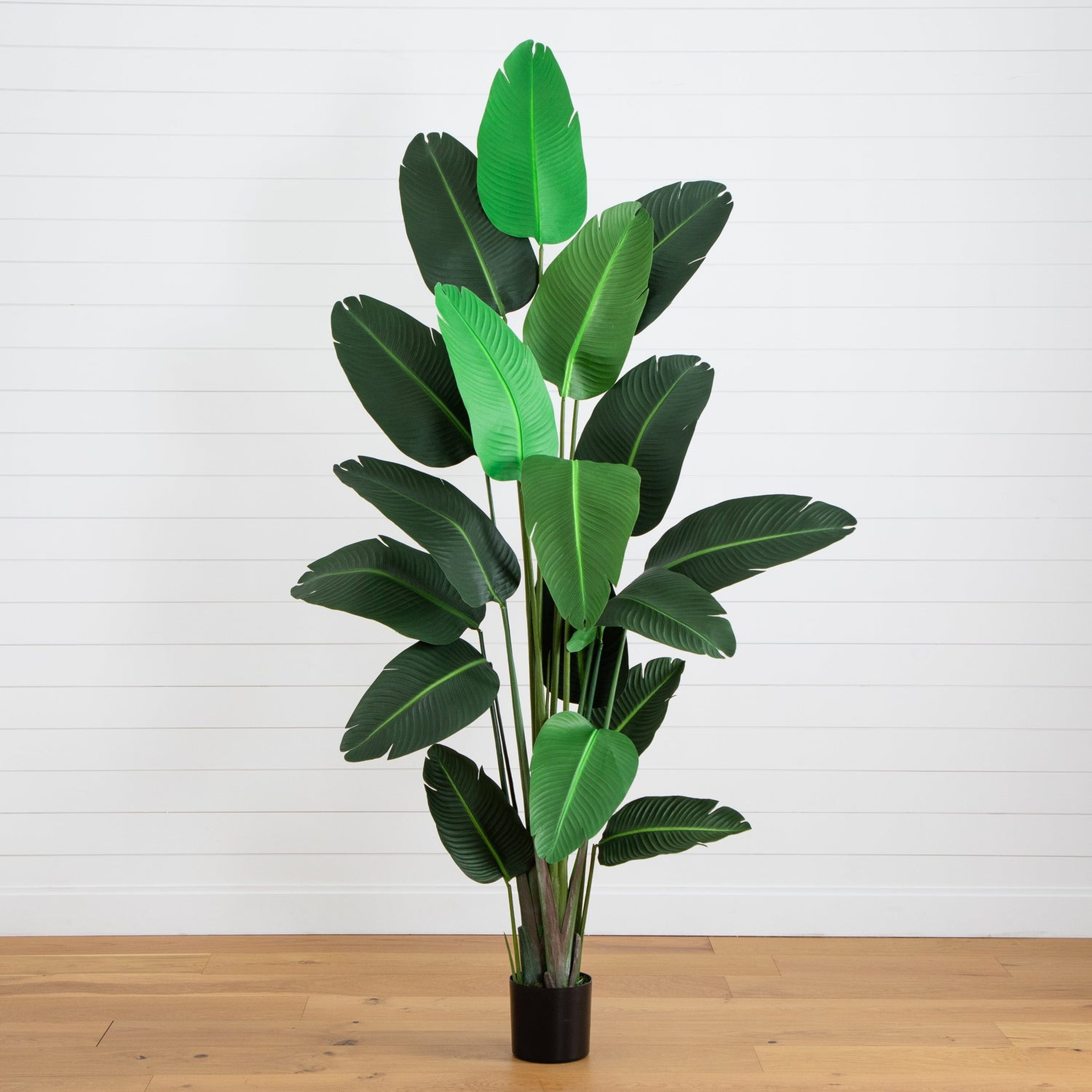 8’ Traveler's Palm Artificial tree - Nearly Natural